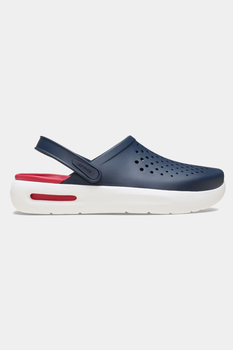 1 (1) INMOTION CLOG – תמונה 1